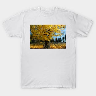 Golden Maple T-Shirt